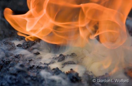 Blacksmith's Fire_72994.jpg - Photographed in the Bosque del Apache National Wildlife Refuge near San Antonio, New Mexico USA. 